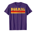 Normal Illinois City Roots 70S 80S T-Shirt - Minimalist Print for Adults - T-Shirt, Sweatshirt, Hoodie
