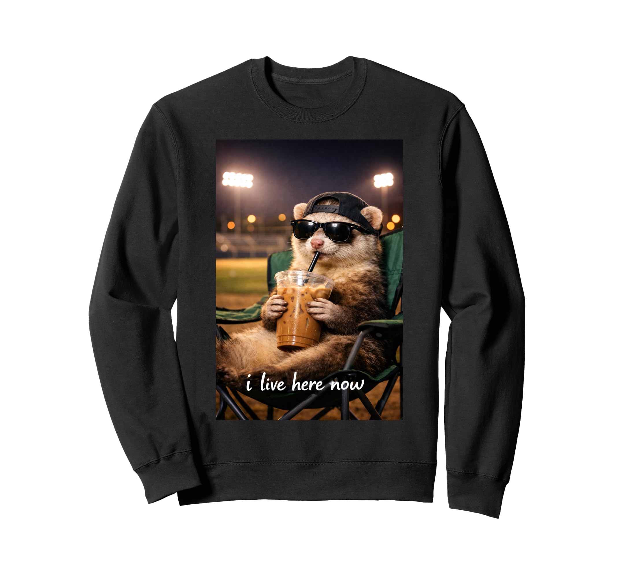 Funny Ferrets Ballfield Baseball Sweatshirt - Graphic Print for Adults - T-Shirt, Sweatshirt, Hoodie