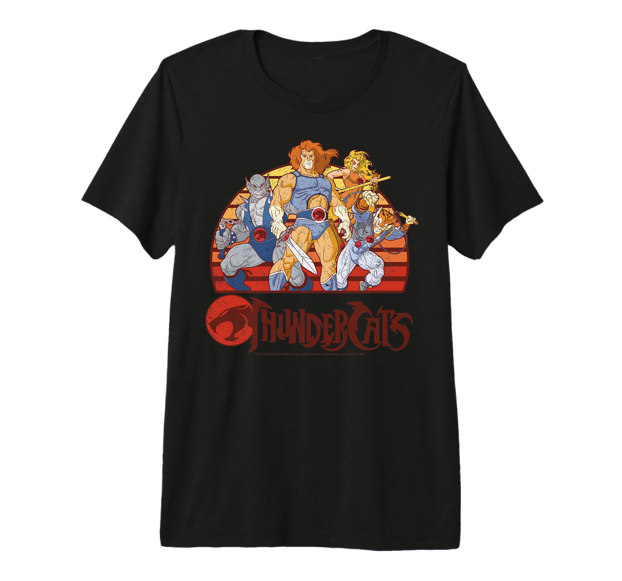Thundercats Group Sunset Tri Blend T-Shirt - Fun Novelty Design Unisex - T-Shirt, Sweatshirt, Hoodie
