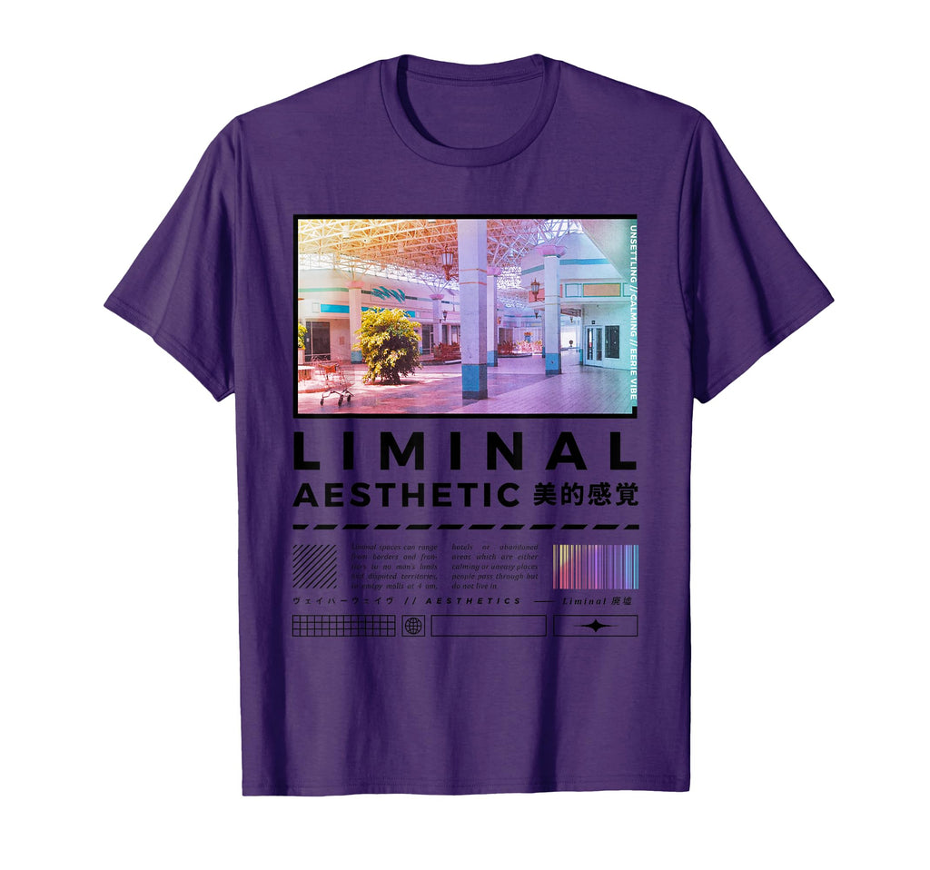 Liminal Spaces Internet 80S 90S T-Shirt - Novelty Apparel for Adults - T-Shirt, Sweatshirt, Hoodie