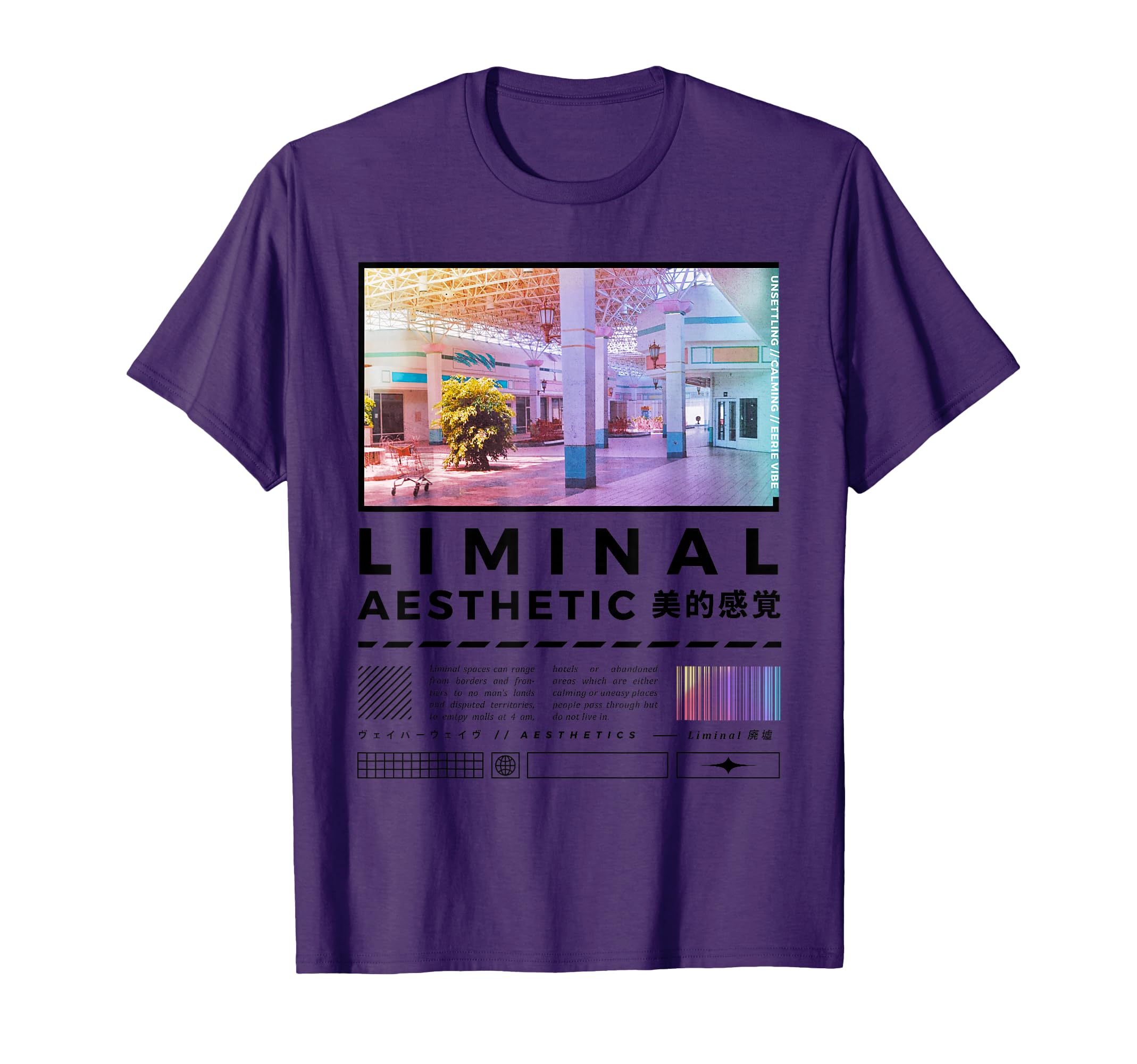 Liminal Spaces Internet 80S 90S T-Shirt - Novelty Apparel for Adults - T-Shirt, Sweatshirt, Hoodie