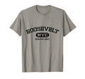 Roosevelt Island Nyc Manhattan T-Shirt - Aesthetic Graphic for Adults - T-Shirt, Sweatshirt, Hoodie