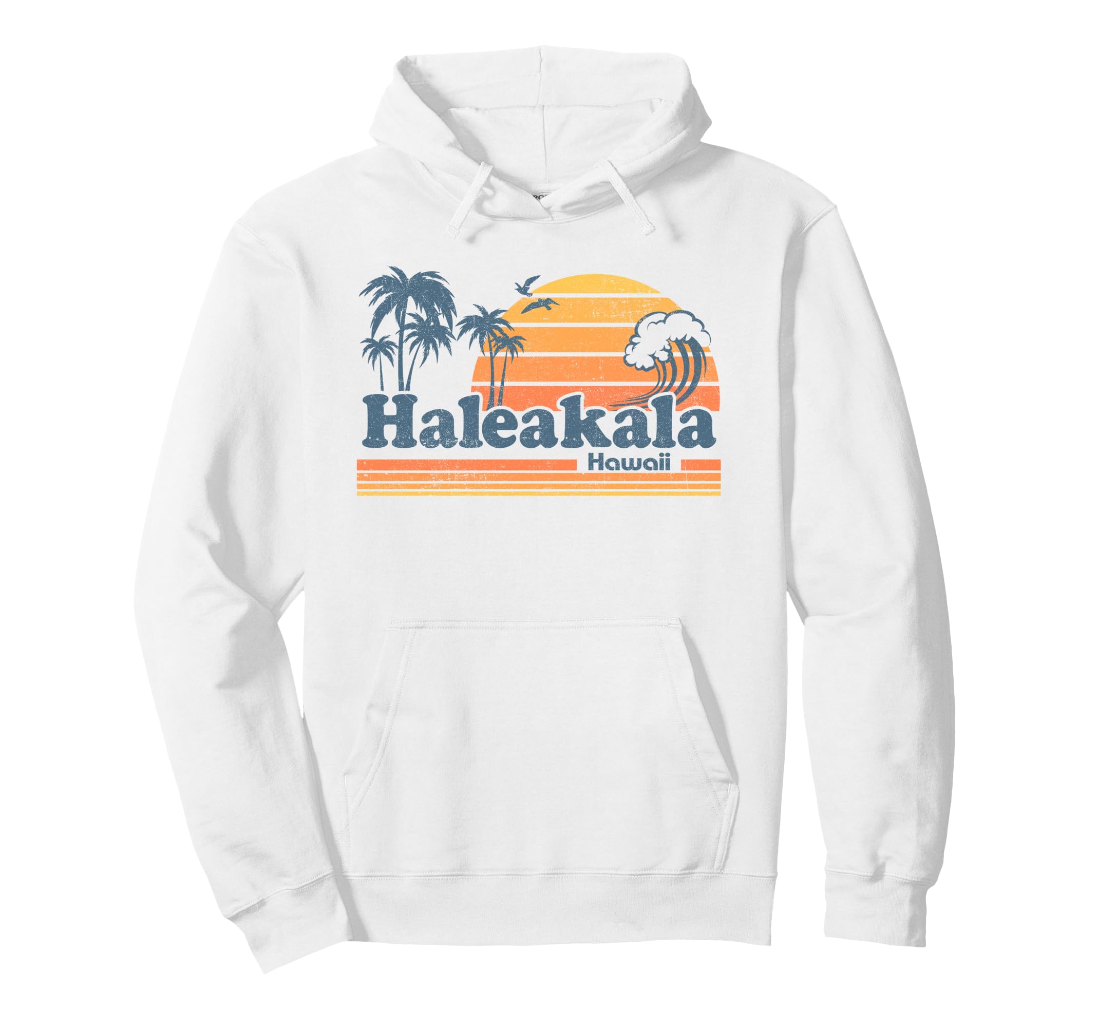 Haleakala Hawaii National Park Hoodie - Streetwear Style for Adults - T-Shirt, Sweatshirt, Hoodie