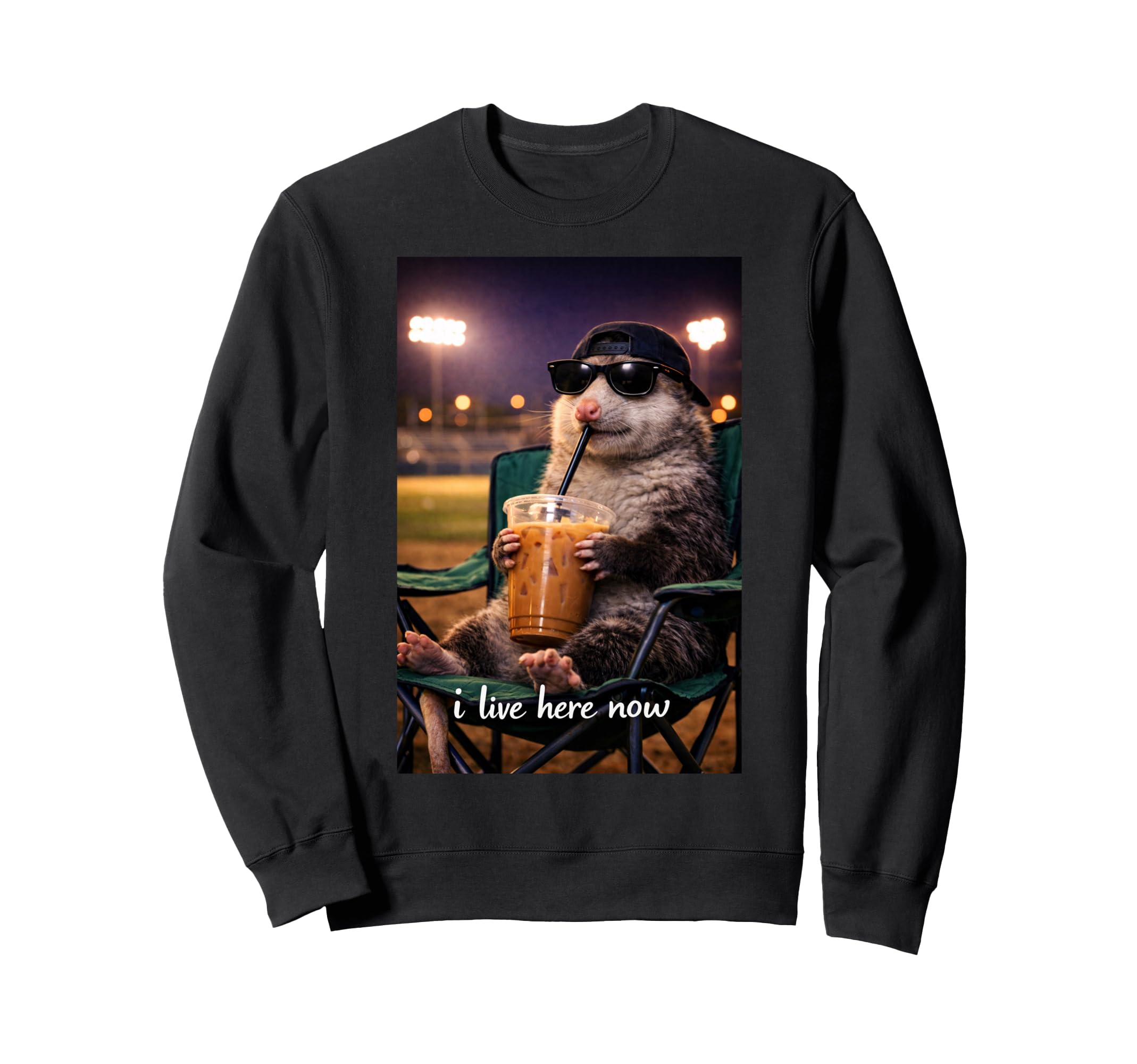 Funny Opossum Ballfield Baseball Sweatshirt - Minimalist Print for Adults - T-Shirt, Sweatshirt, Hoodie