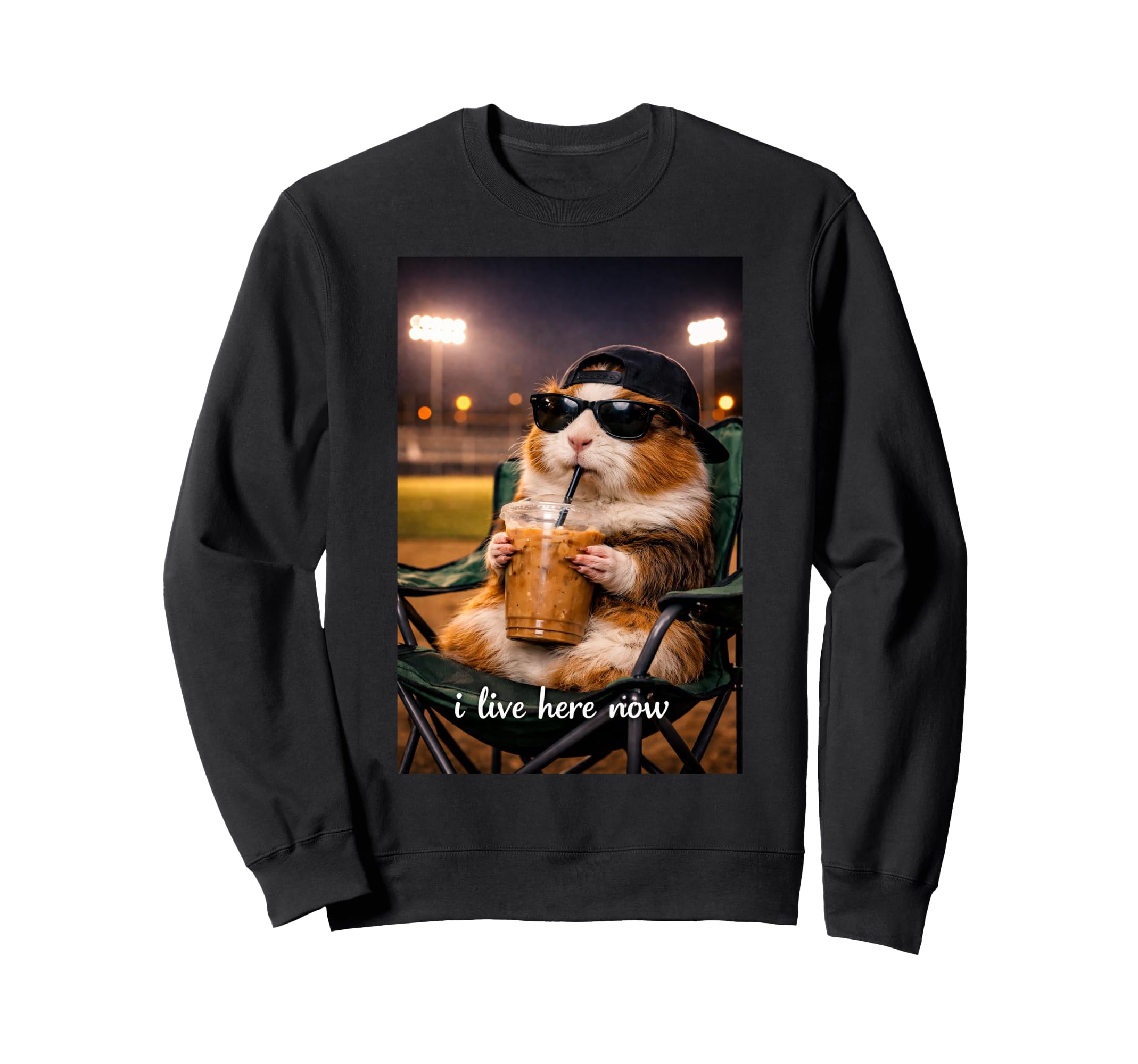 Funny Guinea Pig Ballfield Baseball Sweatshirt - Trendy Graphic for Adults - T-Shirt, Sweatshirt, Hoodie