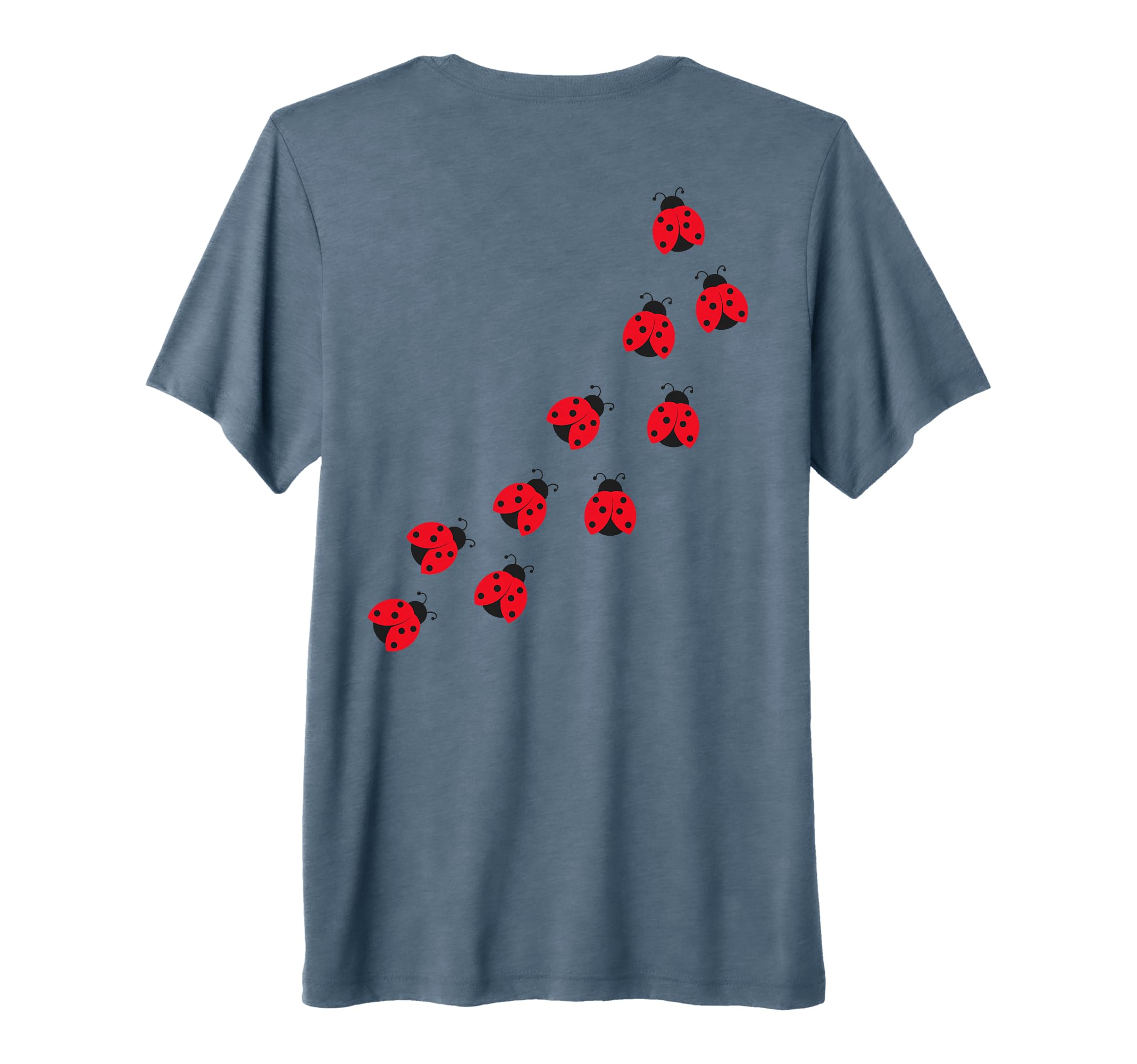 Ladybug Y2K Grunge Teen Whimsy Twee 90S T-Shirt - Unique Graphic Men Women - T-Shirt, Sweatshirt, Hoodie