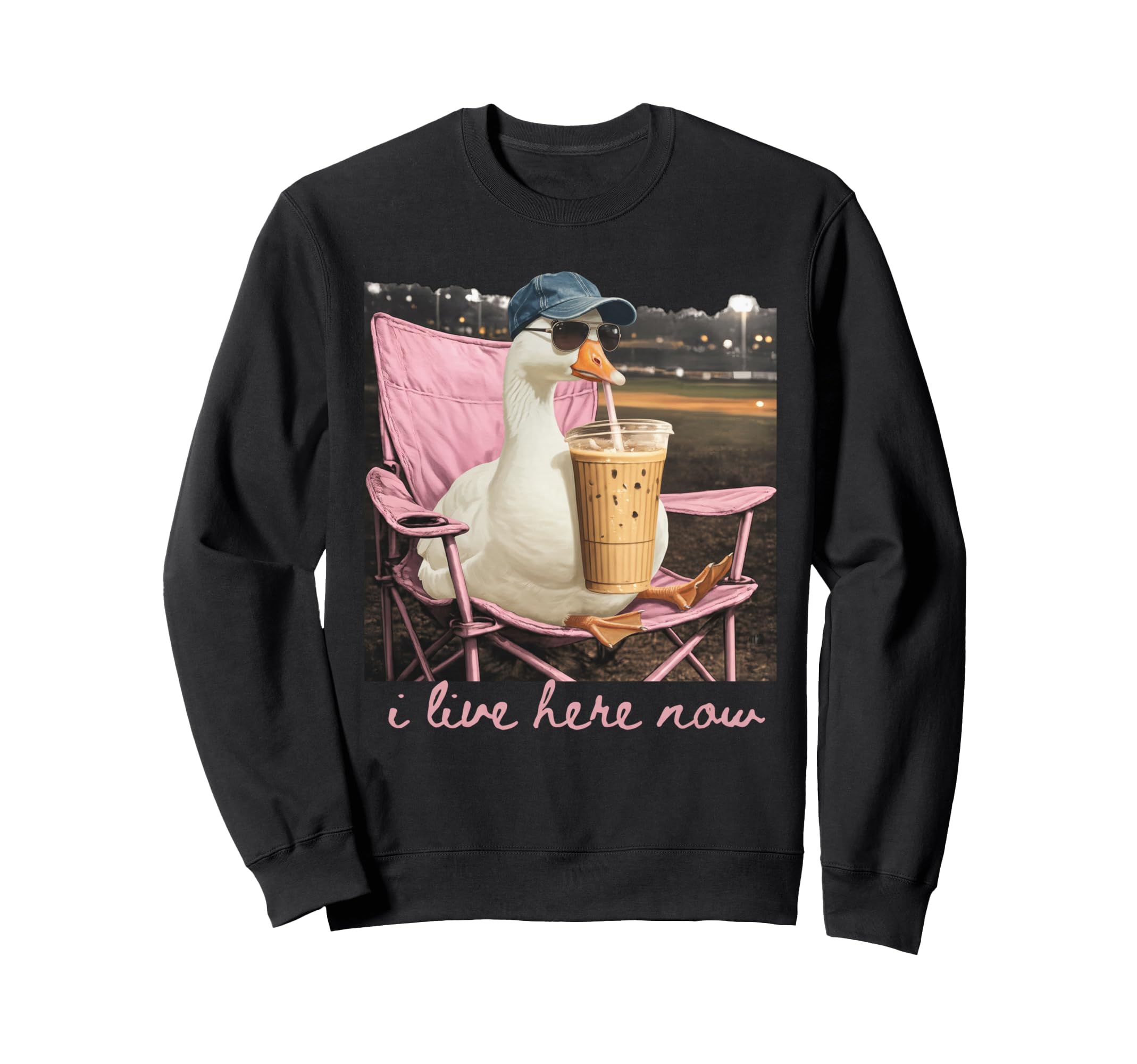 I Live Here Now Goose Coffee Sweatshirt - Streetwear Style for Adults - T-Shirt, Sweatshirt, Hoodie