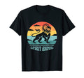 Lion Spirit Animal Sunset Lion Leo T-Shirt - Unique Graphic for Adults - T-Shirt, Sweatshirt, Hoodie