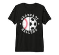 Mens Baseball Grandpa Grandfather T-Shirt - Aesthetic Graphic for Adults - T-Shirt, Sweatshirt, Hoodie