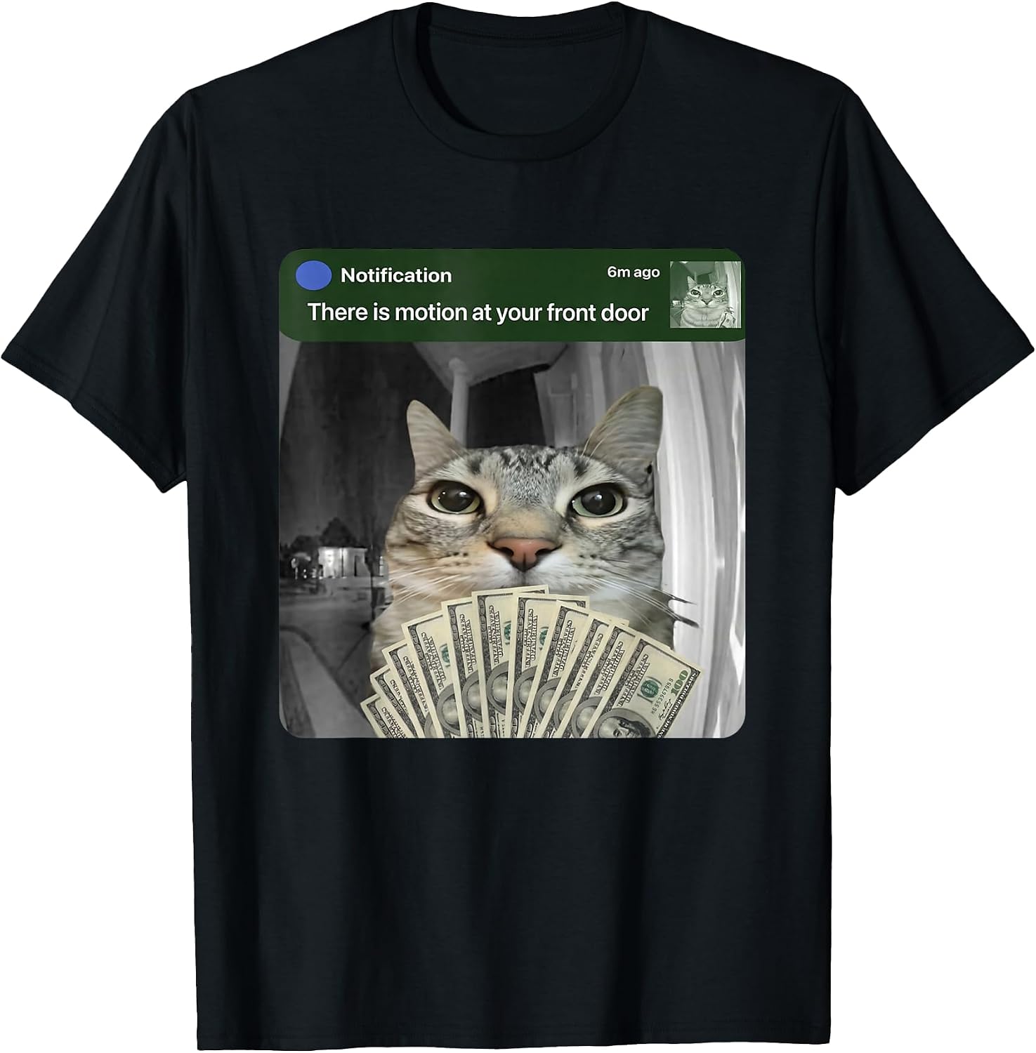 Ring Cat with Motion Meme - Adult & Kids T-Shirts, Sweatshirts & Hoodies apparel design preview 1