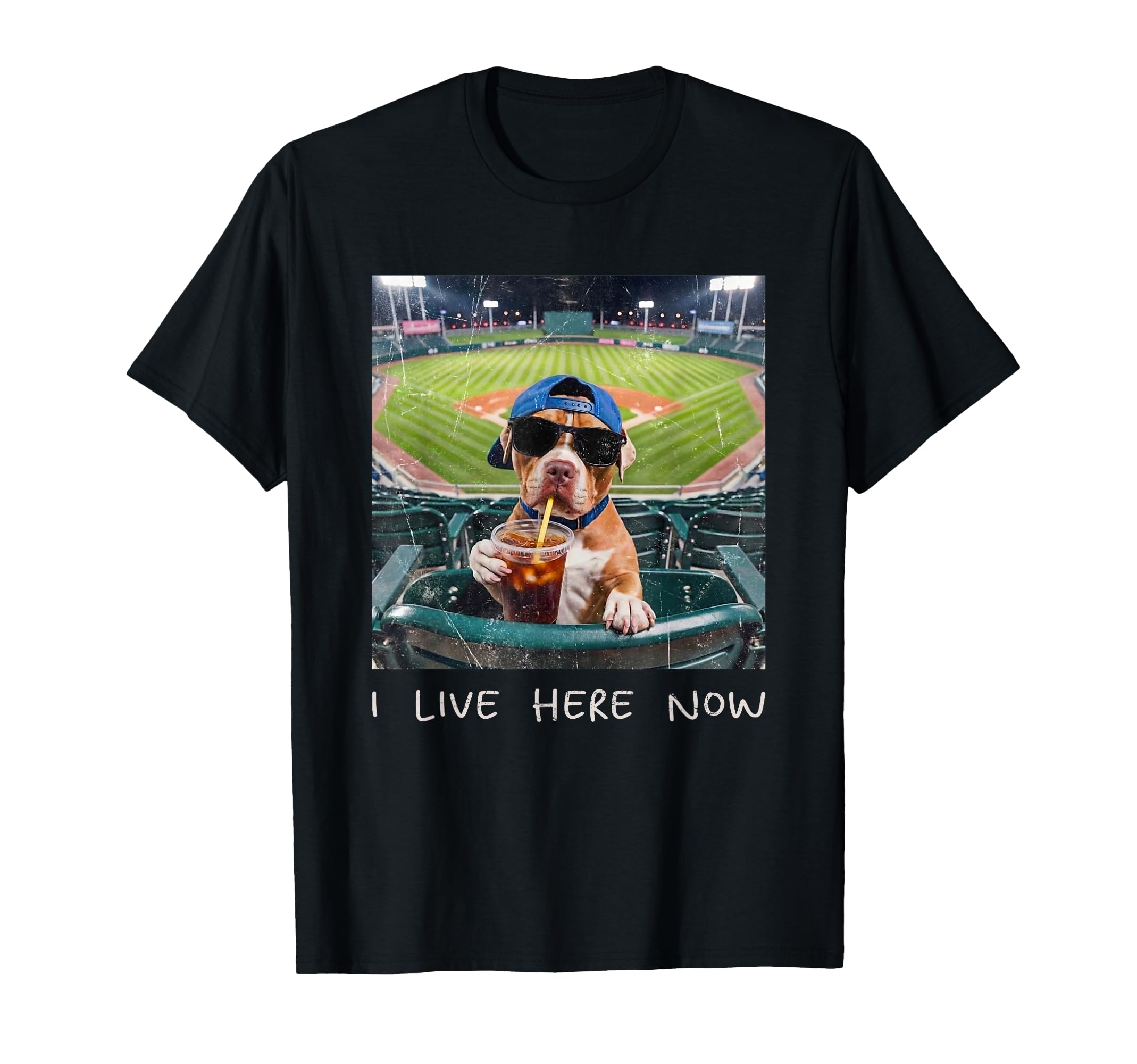 I Live Here Now Funny Pitbull Funny T-Shirt - Minimalist Print for Adults - T-Shirt, Sweatshirt, Hoodie