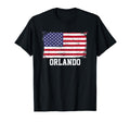 Orlando Florida Distressed T-Shirt - Casual Everyday Wear for Adults - T-Shirt, Sweatshirt, Hoodie