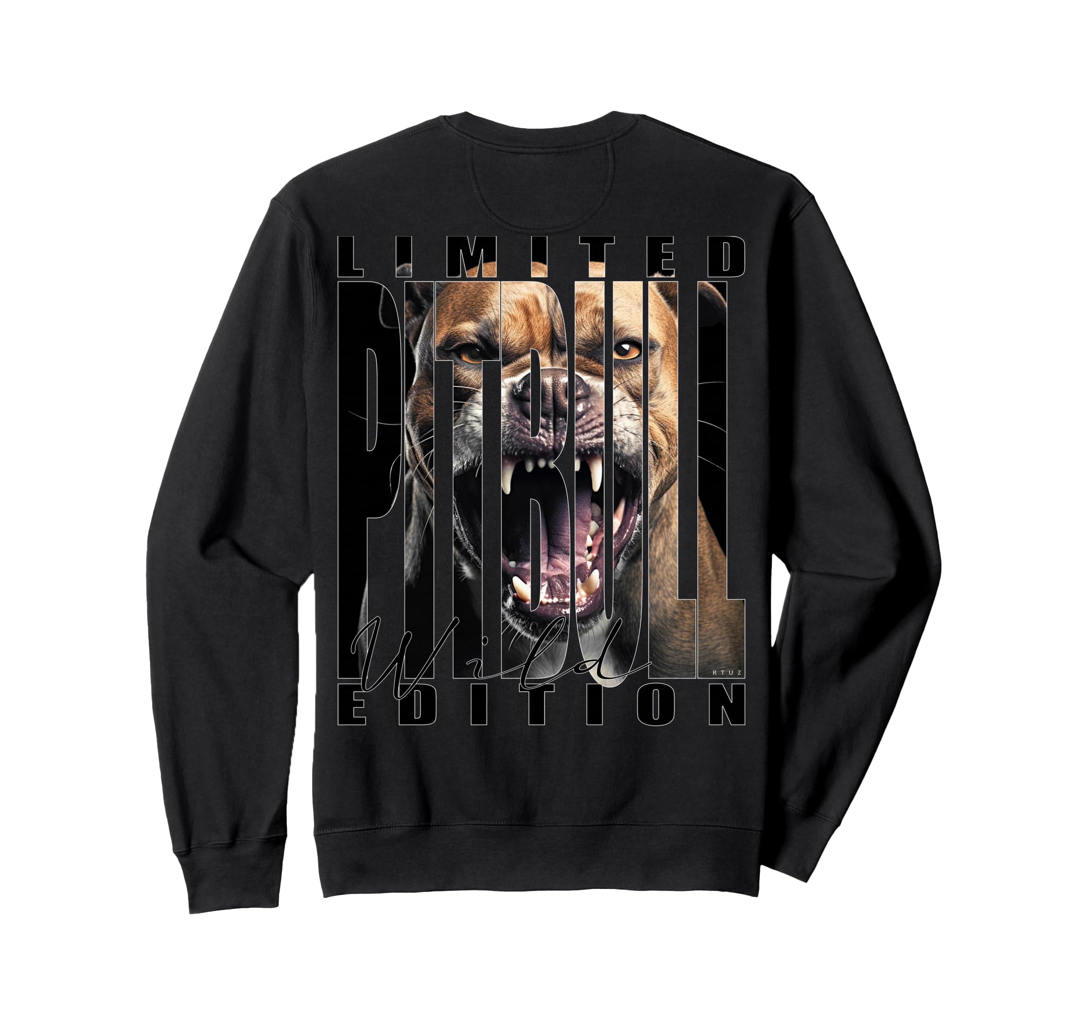 Back Y2K Streetwear Dog Pit Bull Sweatshirt - Novelty Apparel Men Women - T-Shirt, Sweatshirt, Hoodie