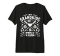 Baseball Grandma Grandmother Granny T-Shirt - Aesthetic Graphic Unisex - T-Shirt, Sweatshirt, Hoodie