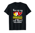 My Grandkids Ball Grandma Baseball T-Shirt - Unique Graphic for Adults - T-Shirt, Sweatshirt, Hoodie