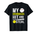 My Grandkids Hit And Steal Softball T-Shirt - Casual Everyday Wear Unisex - T-Shirt, Sweatshirt, Hoodie