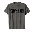 Superior Wi Distressed Black Varsity T-Shirt - Trendy Graphic for Adults - T-Shirt, Sweatshirt, Hoodie