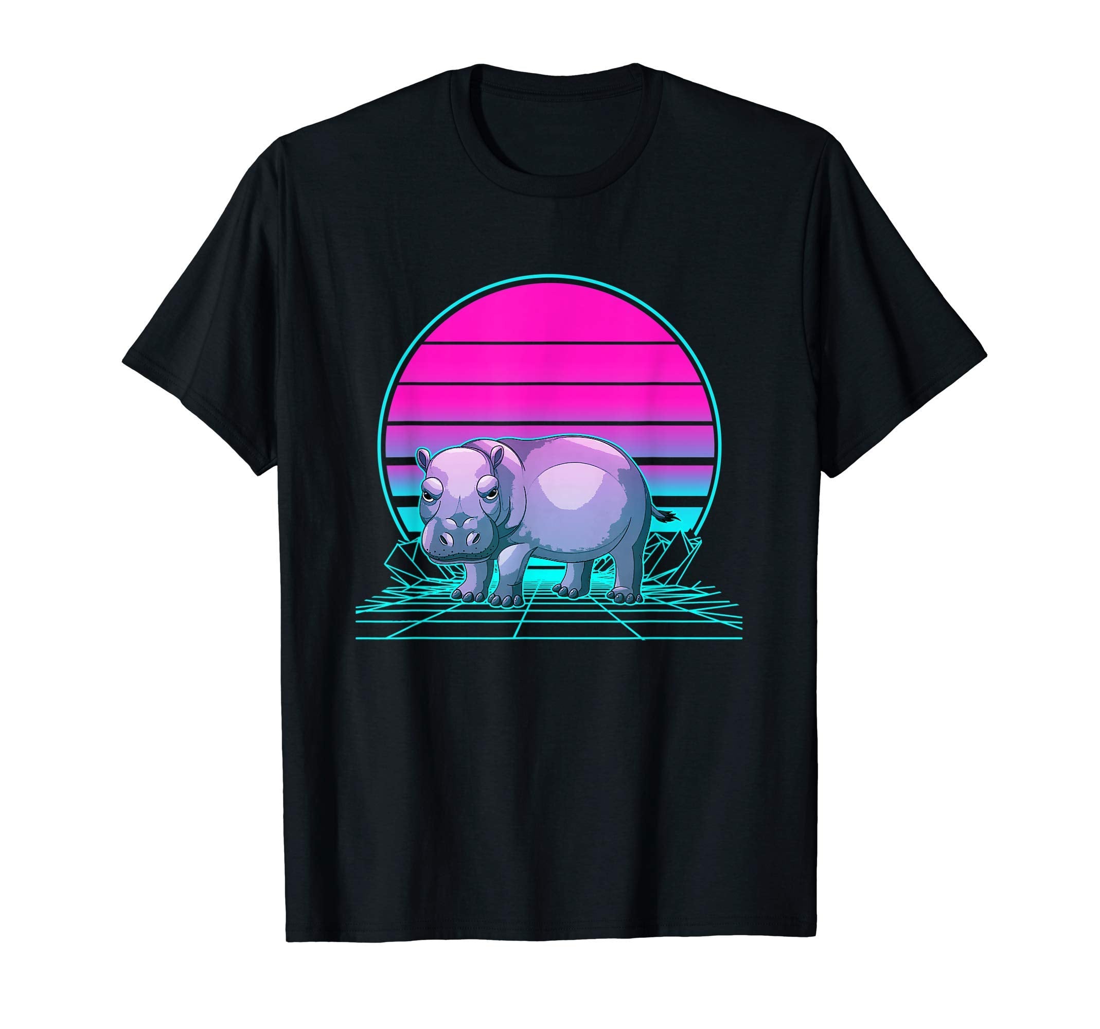 Sunset Hippo T-Shirt - Aesthetic Graphic for Adults - T-Shirt, Sweatshirt, Hoodie