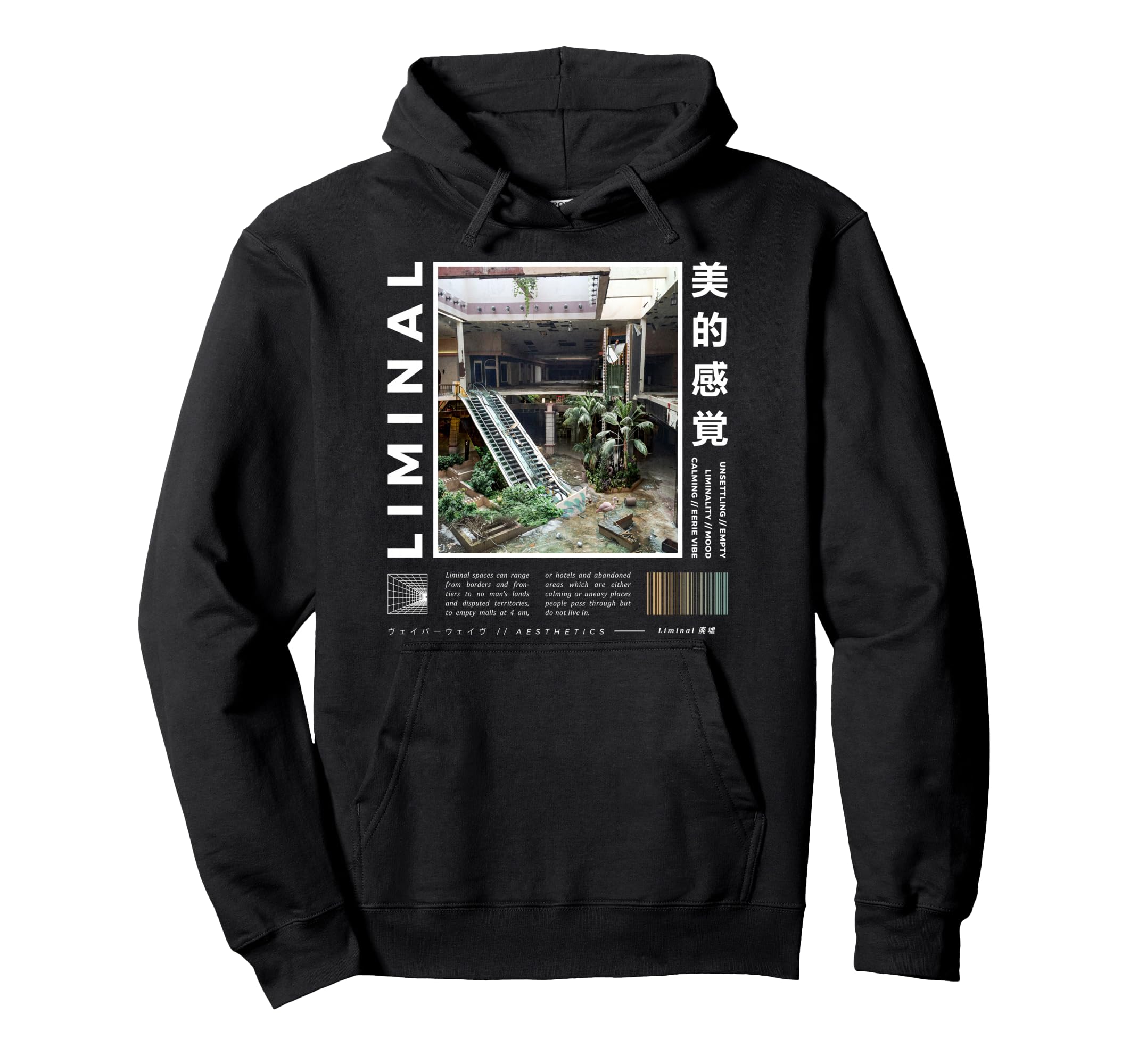 Liminal Spaces Internet 80S 90S Aesthetic Hoodie - Unique Graphic Unisex - T-Shirt, Sweatshirt, Hoodie