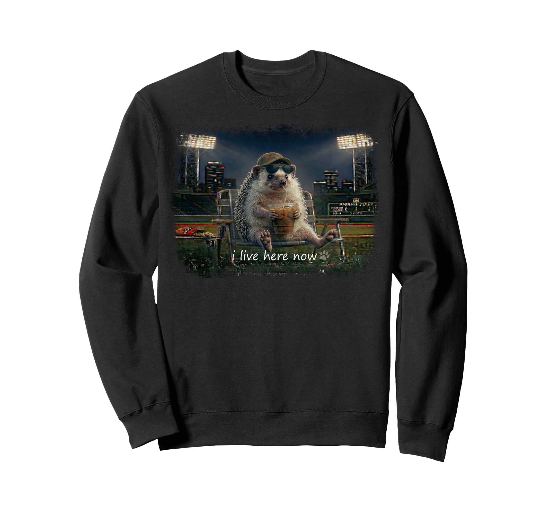 Funny Hedgehog Ballfield Baseball Sweatshirt - Casual Everyday Wear Unisex - T-Shirt, Sweatshirt, Hoodie