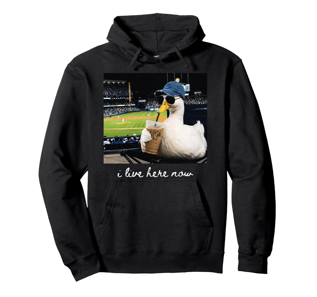 Funny Goose I Live Here Now Baseball Hoodie - Minimalist Print Men Women - T-Shirt, Sweatshirt, Hoodie