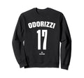Jake Odorizzi 17 Mlbpa Houston Sweatshirt - Custom Art Print for Adults - T-Shirt, Sweatshirt, Hoodie