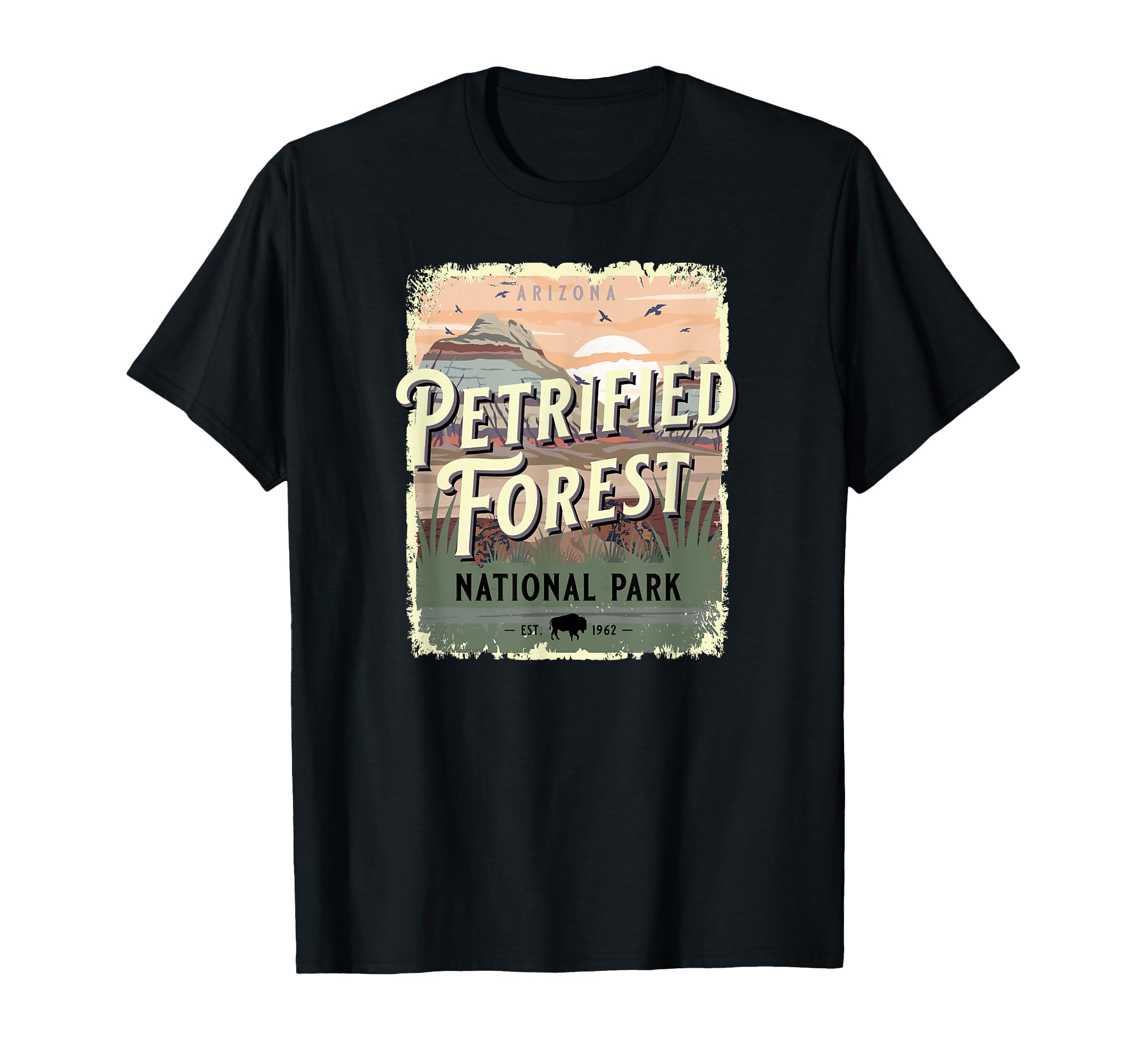 Petrified Forest National Park T-Shirt - Fun Novelty Design for Adults - T-Shirt, Sweatshirt, Hoodie
