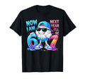 6Th Birthday Baseball Ice Cream Drip T-Shirt - Novelty Apparel for Adults - T-Shirt, Sweatshirt, Hoodie