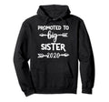 Promoted To Big Sister Est 2020 Hoodie - Casual Everyday Wear for Adults - T-Shirt, Sweatshirt, Hoodie