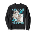 Sheesh Ragdoll And Persian Sweatshirt - Aesthetic Graphic for Adults - T-Shirt, Sweatshirt, Hoodie