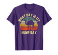 What Day Is It Hump Day Camel Sunset T-Shirt - Streetwear Style for Adults - T-Shirt, Sweatshirt, Hoodie