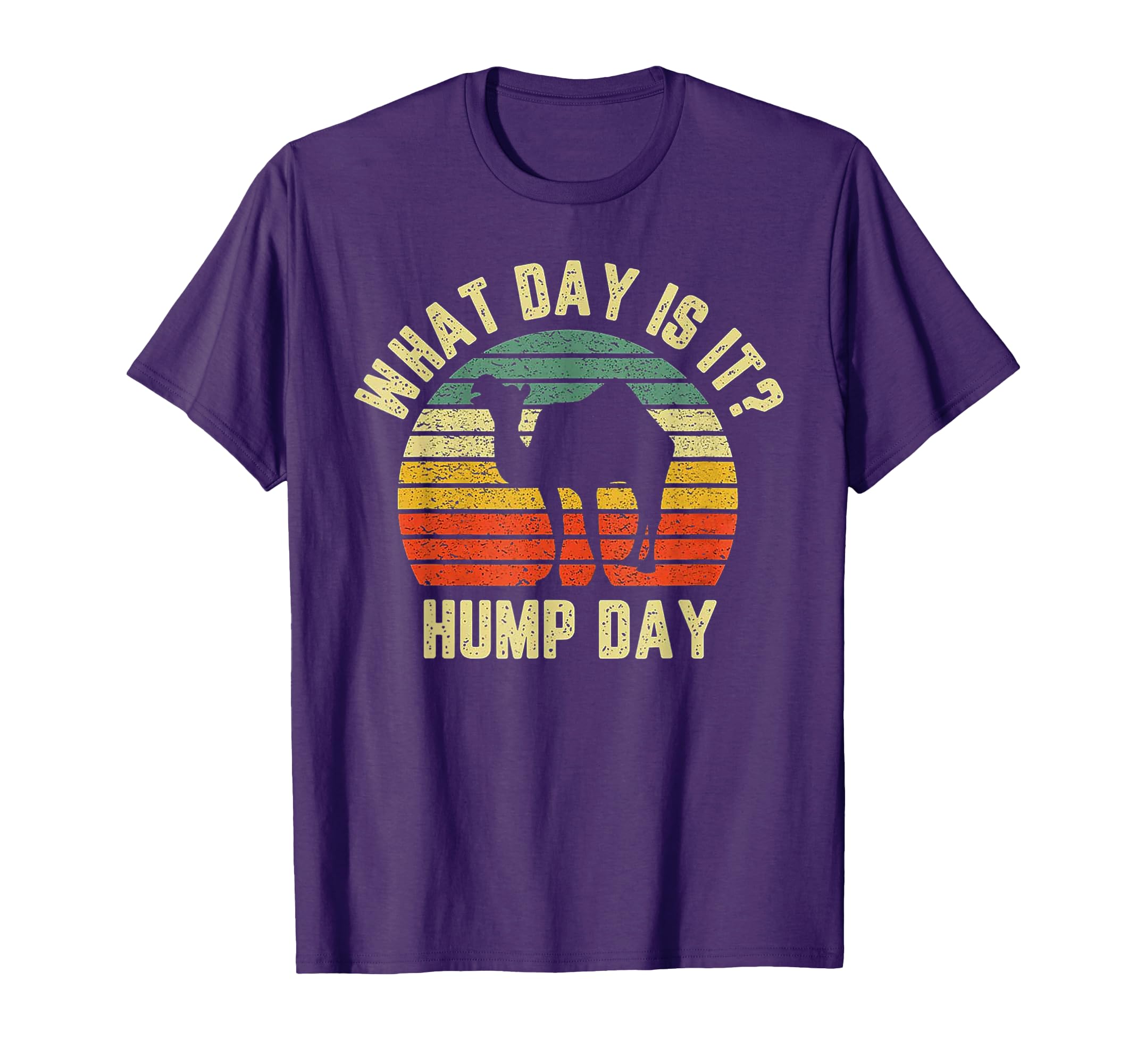 What Day Is It Hump Day Camel Sunset T-Shirt - Streetwear Style for Adults - T-Shirt, Sweatshirt, Hoodie
