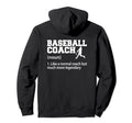 Baseball Coaching Trainer Training Hoodie - Aesthetic Graphic Men Women - T-Shirt, Sweatshirt, Hoodie