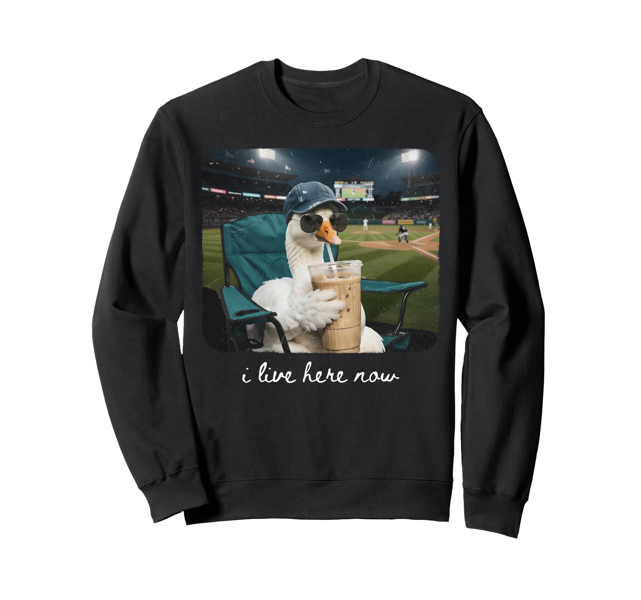 Funny Goose Ballfield Baseball Sweatshirt - Trendy Graphic for Adults - T-Shirt, Sweatshirt, Hoodie