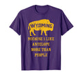 Wyoming Buffalo Distressed State Pride T-Shirt - Trendy Graphic Men Women - T-Shirt, Sweatshirt, Hoodie