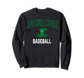 John Carroll Catholic High Sweatshirt - Aesthetic Graphic for Adults - T-Shirt, Sweatshirt, Hoodie