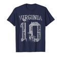 State Virginia 10Th State Distressed T-Shirt - Casual Everyday Wear Unisex - T-Shirt, Sweatshirt, Hoodie