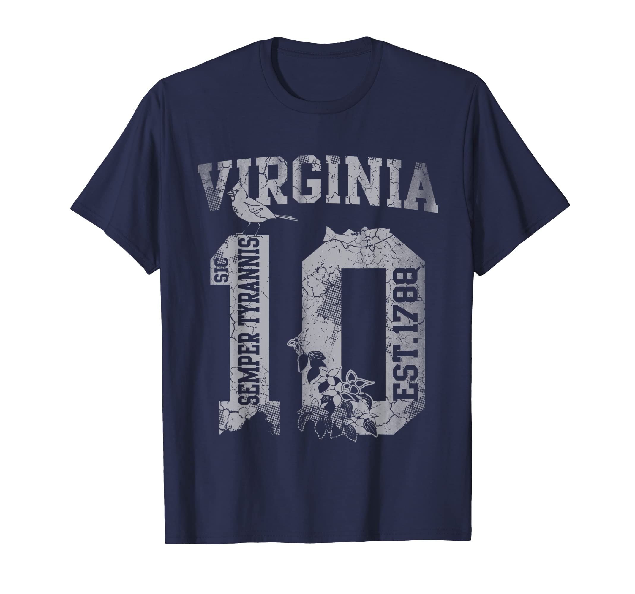 State Virginia 10Th State Distressed T-Shirt - Casual Everyday Wear Unisex - T-Shirt, Sweatshirt, Hoodie
