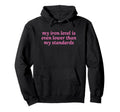 Iron Level Even Lower Than Standards Hoodie - Unique Graphic Men Women - T-Shirt, Sweatshirt, Hoodie