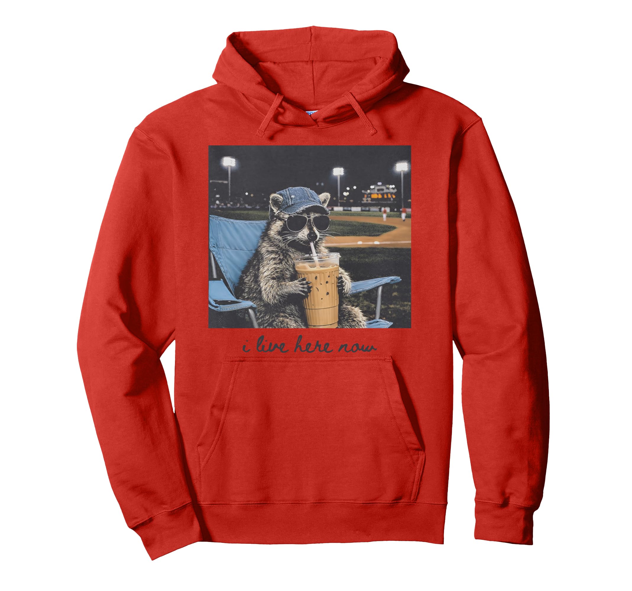 I Live Ballfield Now Raccoon Baseball Hoodie - Trendy Graphic for Adults - T-Shirt, Sweatshirt, Hoodie