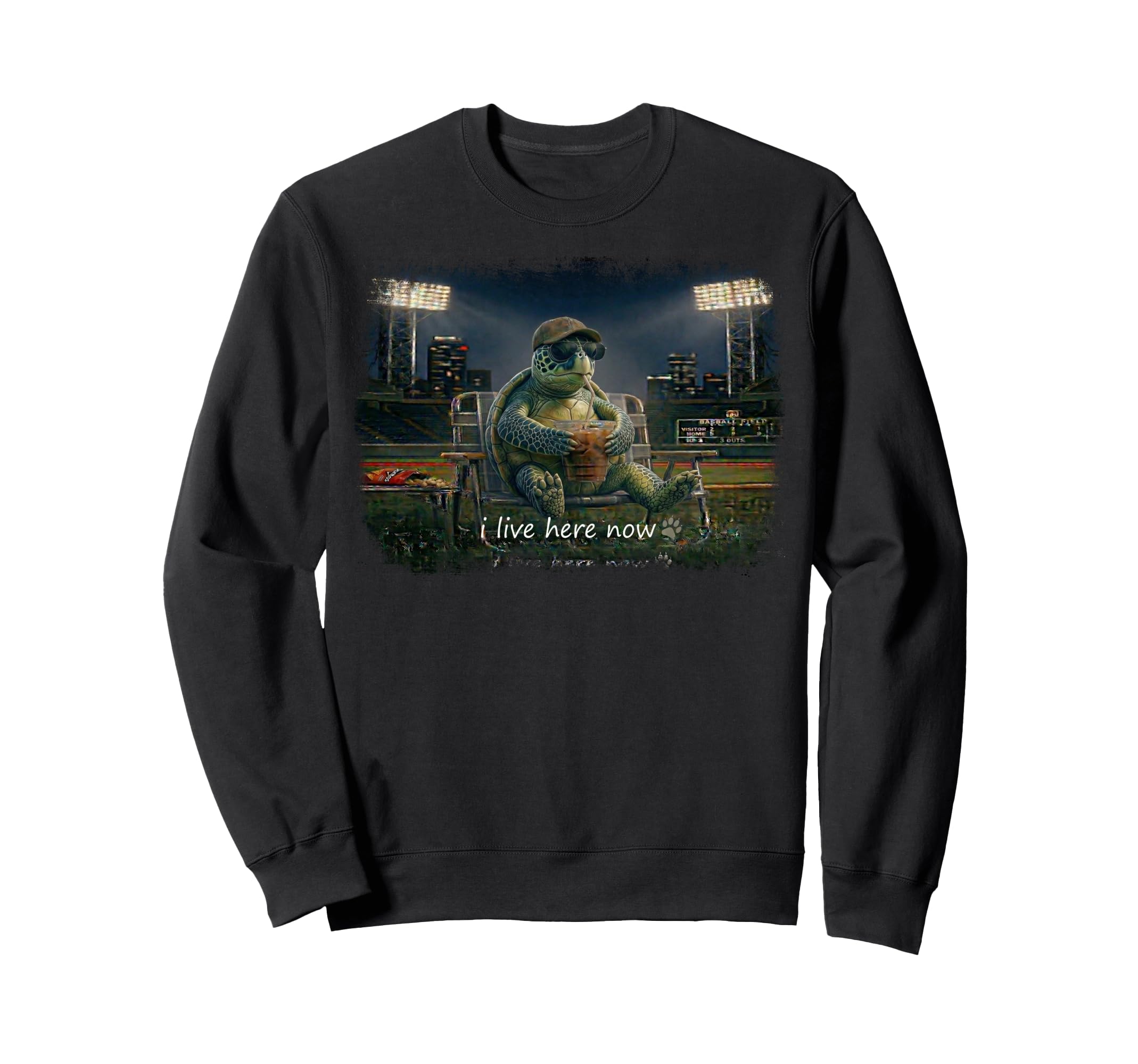 Funny Turtle Ballfield Baseball Field Sweatshirt - Streetwear Style Unisex - T-Shirt, Sweatshirt, Hoodie