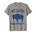 Wyoming Equal Rights Flag T-Shirt - Casual Everyday Wear Men Women - T-Shirt, Sweatshirt, Hoodie