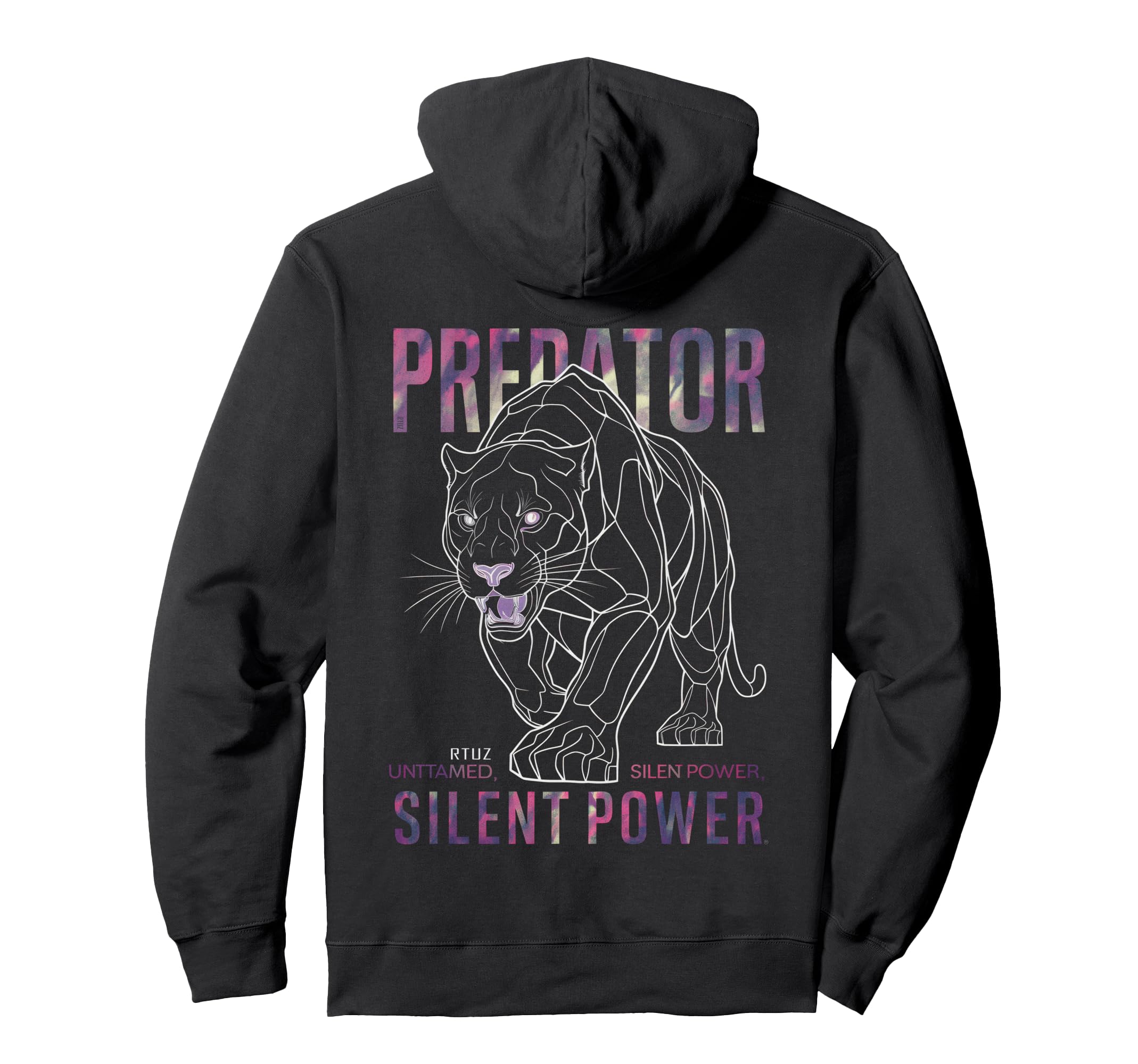 Hip Hop Urban Edgy Y2K Back Streetwear Hoodie - Graphic Print for Adults - T-Shirt, Sweatshirt, Hoodie