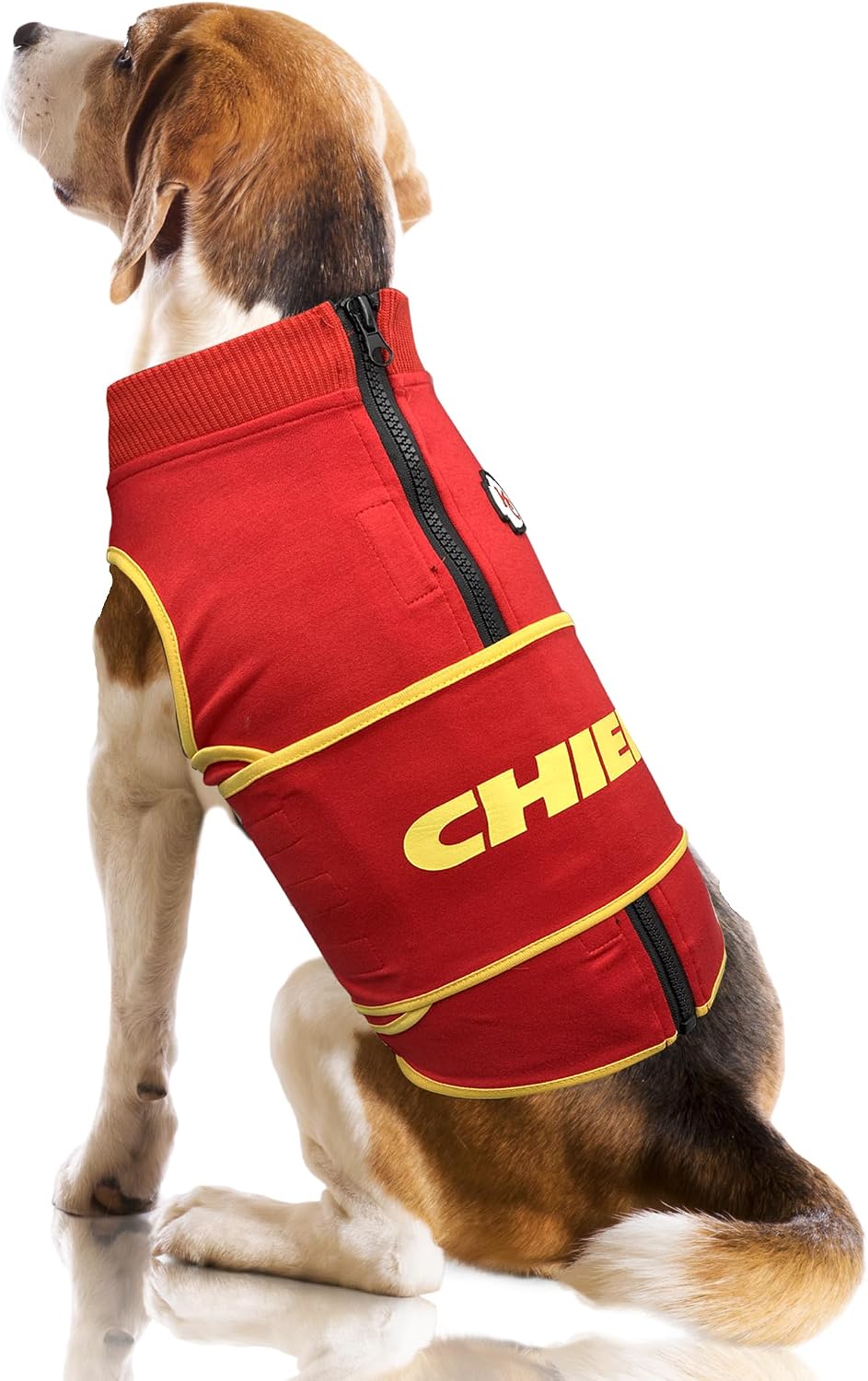Pets First - Adult & Kids T-Shirts, Sweatshirts & Hoodies apparel design preview 1