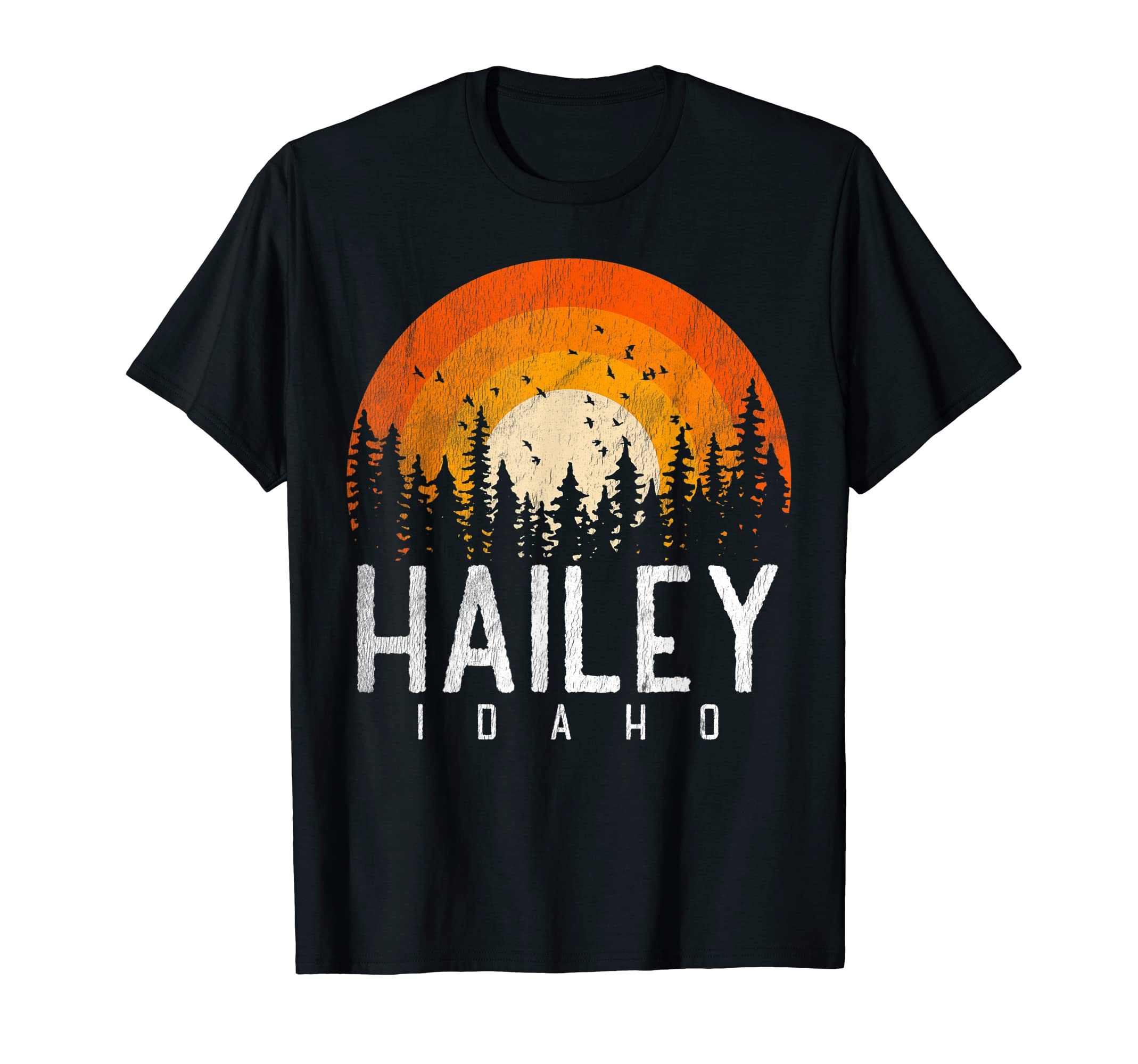 Hailey Idaho Id 70S 80S 90S Gift T-Shirt - Graphic Print Men Women - T-Shirt, Sweatshirt, Hoodie