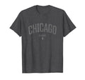 Chicago Illinois Distressed Illinois T-Shirt - Novelty Apparel for Adults - T-Shirt, Sweatshirt, Hoodie