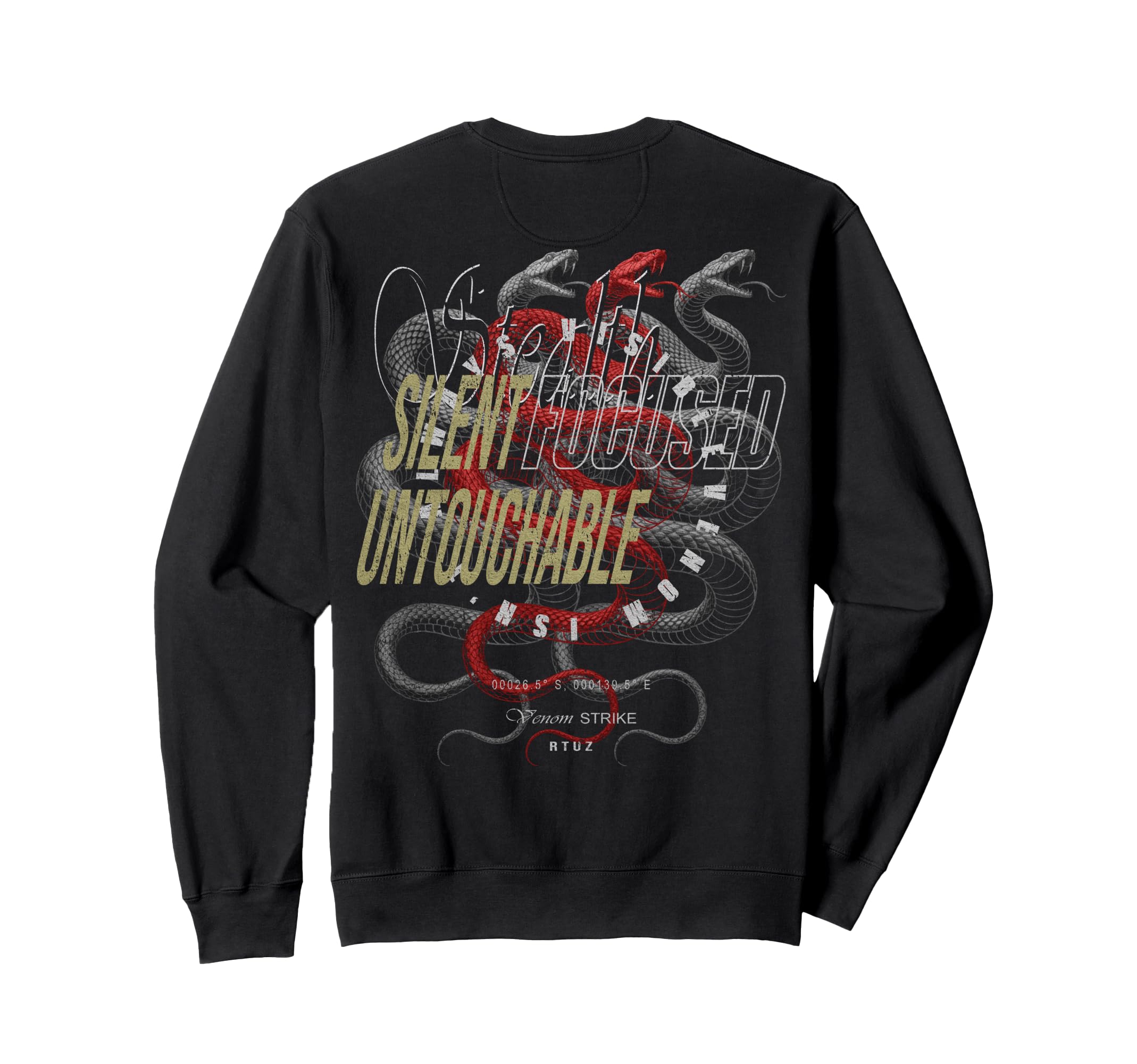 Y2K Back Streetwear Sweatshirt - Graphic Print for Adults - T-Shirt, Sweatshirt, Hoodie