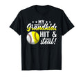 My Grandkids Hit Steal Baseball T-Shirt - Casual Everyday Wear for Adults - T-Shirt, Sweatshirt, Hoodie