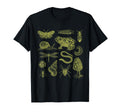 Frog Mushroom Moth Biology Goblincore T-Shirt - Unique Graphic Unisex - T-Shirt, Sweatshirt, Hoodie