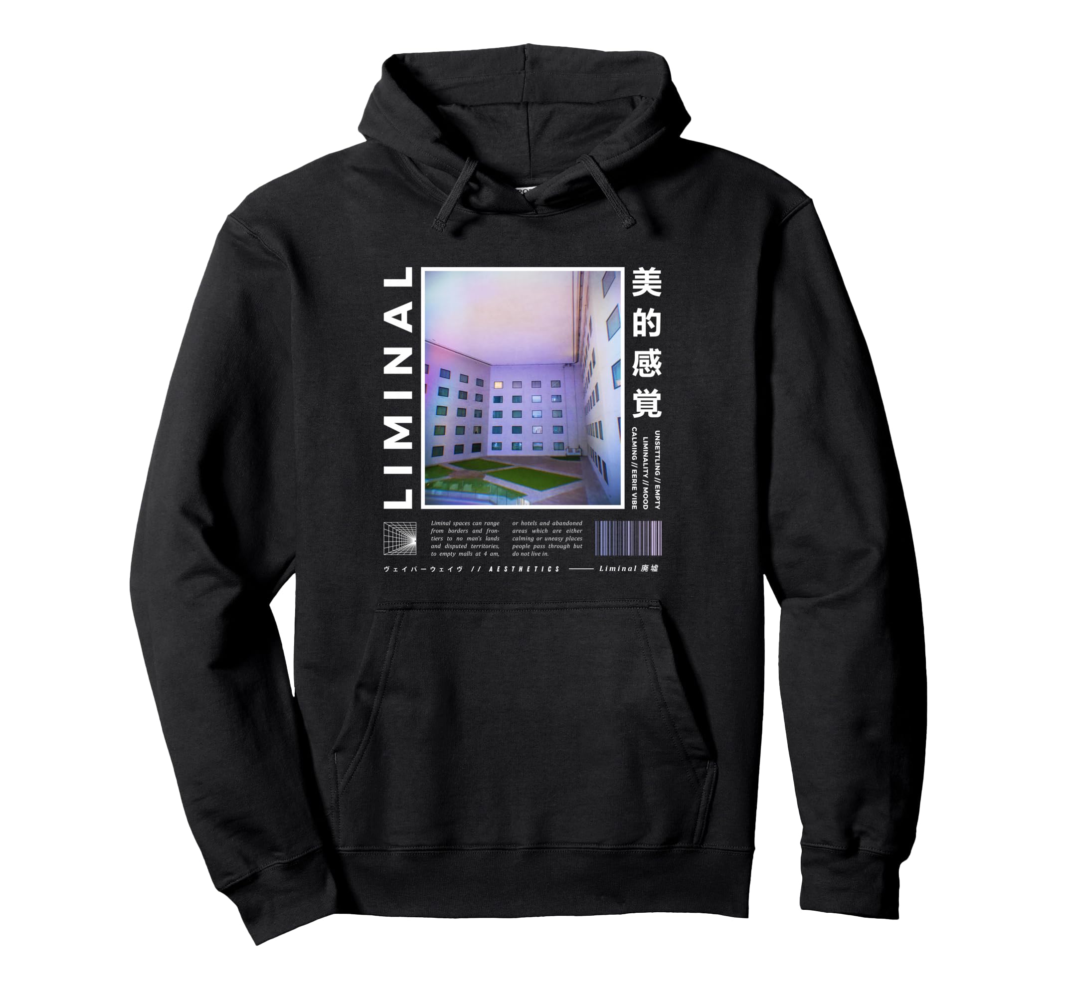 Liminal Spaces Vaporwave Aesthetic Hoodie - Streetwear Style for Adults - T-Shirt, Sweatshirt, Hoodie